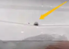 冰箱漏水孔凍住的原因及解決辦法是什么呢?